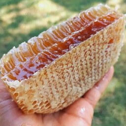 عسل طبیعی بهاره دشت 1 کیلویی