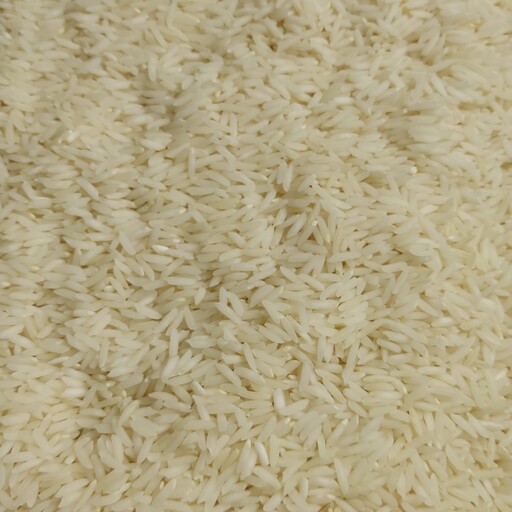 برنج هاشمی باقیمت استثنایی بدون واسطه مستقیم ازتولیدکننده