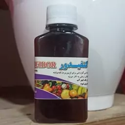 سم کنفیدور