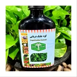 کودمایع جلبک دریایی (Liquid fertilizer seawead).(GOD PLANT)