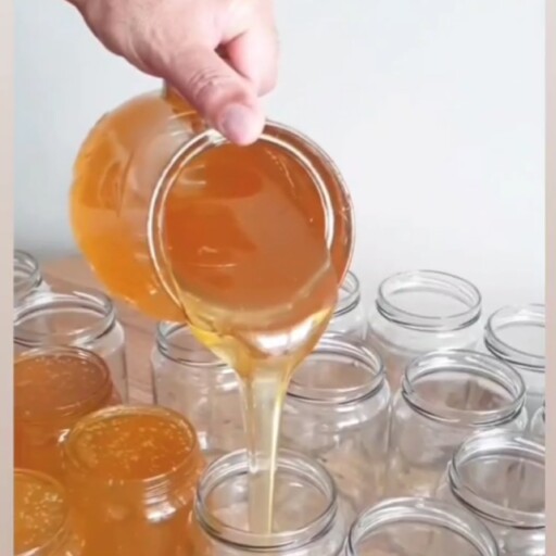 عسل انگبین صدرصد طبیعی و خالص 1 کیلویی (مستقیم از زنبور دار) 