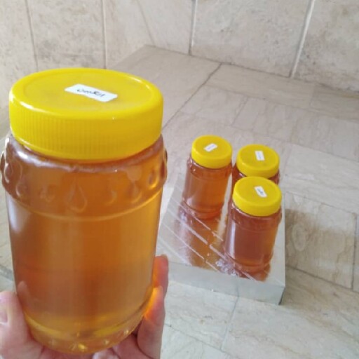 عسل انگبین صدرصد طبیعی و خالص 1 کیلویی (مستقیم از زنبور دار) 