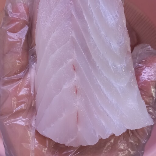 ماهی هامور اصلی