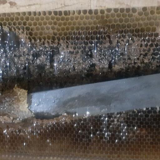  عسل سیاه  یک کیلو خالص کوهستان  آذربایجان غربی  طعم تند تند غلیظ  زنبور عسل از شهد  گل های بهاره 1402 تغذیه شده 