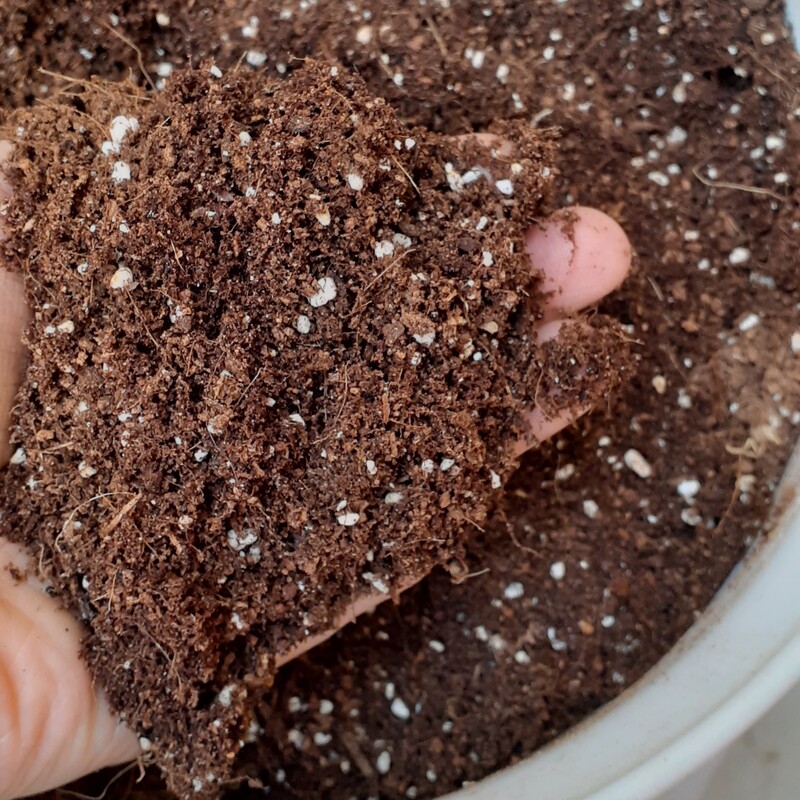 خاک مخصوص تمام گیاهان بسته کوچک تقریبا 2لیتری