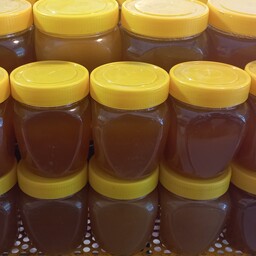 عسل چهل گیاه دامنه سرسبز سبلان و دریاچه نئور  و باغرو هیر 1 کیلویی در بورس عسل بی نظیر باغرو هیر ( از تولید به مصرف)