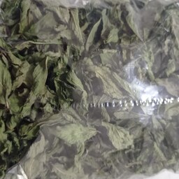 سبزی نعنا برگ  خشک شده بدون ذره ای ساقه  در بسته بندی مناسب برای کدبانو های عزیز