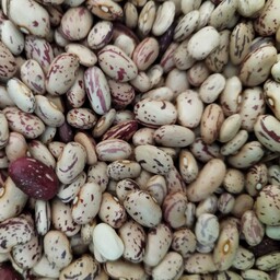 لوبیا چیتی درجه یک امساله  محصول روستای قیصرق بسیار خوش طعم و خوش پخت در  وزن های دلخواه