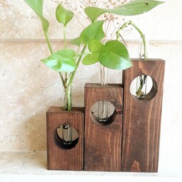 گلدان چوبی با لوله شیشه ای با امکان رشد گیاه زنده طرح اقاقی 