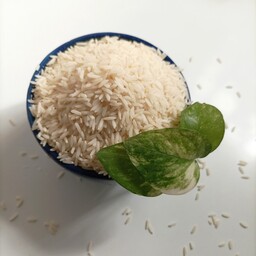 برنج طارم هاشمی مازندران محصول امسال 5 کیلویی ارسال رایگان 