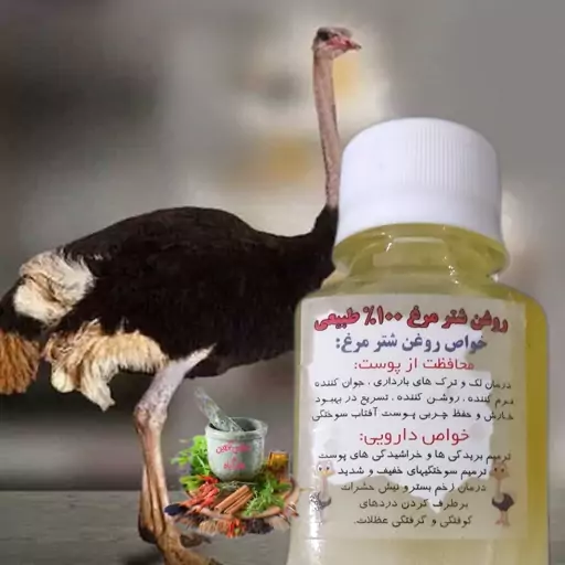 روغن شترمرغ ( شیخ صالح)