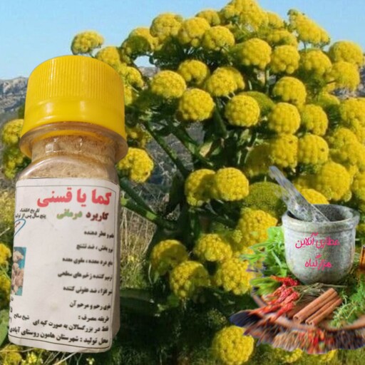 پودر گیاه کما یا قسنی