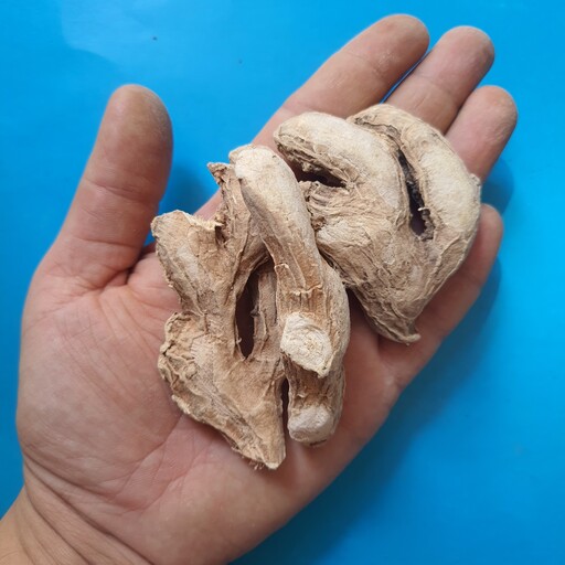 پودر زنجبیل هندی آسیاب در زمان ثبت سفارش