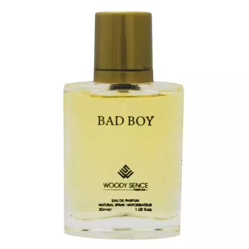 عطر جیبی مردانه وودی سنس مدل BAD BOY حجم 30 میلی لیتر