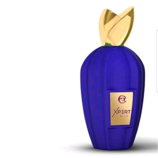 عطر ادکلن 100 میل اماراتی زرجف اکسنتو Xerjoff Accento ارسال رایگان