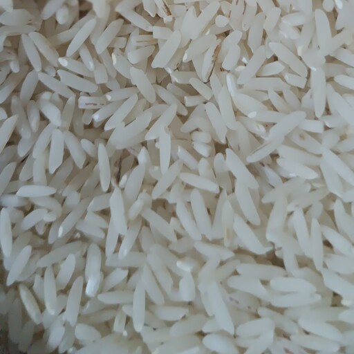 برنج طارم شمال ده کیلویی مستقیم ازکشاورزبدون واسطه
