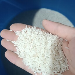 برنج طارم اعلاامساله (پنج کیلویی)درجه یک معطر