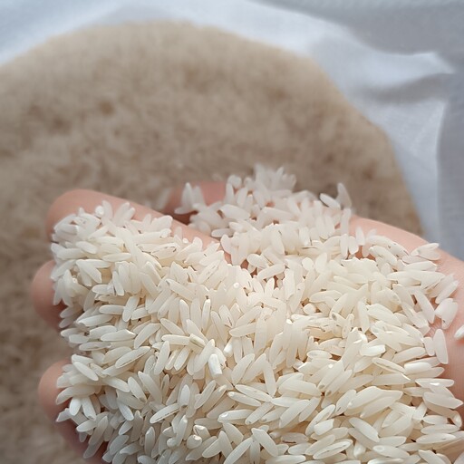 برنج طارم شمال درجه یک (20کیلویی)