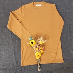 تی شرت مردانه رنگ خردلی  یقه گرد  سایز مدیوم جنس نخ پنبه مارک تام تیلور بلندی لباس از لبه یقه تا پایین لباس 66