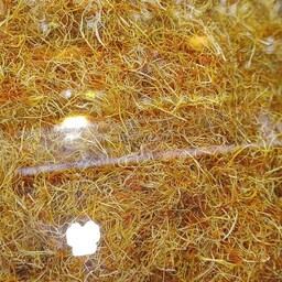 ریشه زعفران با درصد بالای زعفران