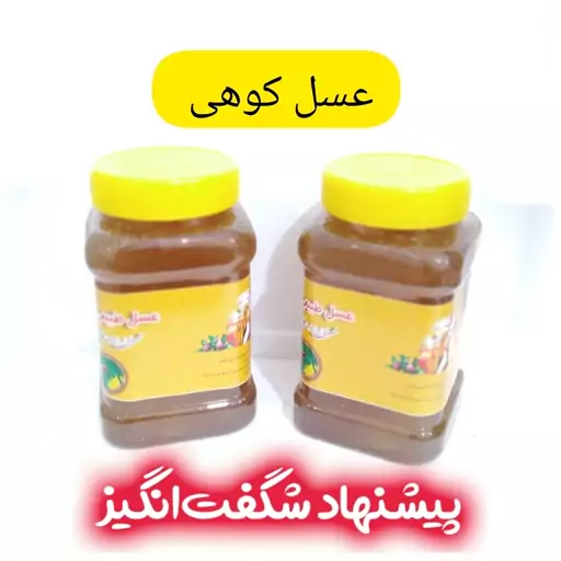 عسل طبیعی کوهی خام 2 کیلویی سبلان فروش ویژه(مستقیم از زنبوردار)ارسال رایگان 