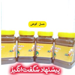 عسل طبیعی کوهی خام 4 کیلویی سبلان فروش ویژه(مستقیم از زنبوردار)ارسال رایگان
