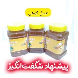 عسل طبیعی کوهی خام 3 کیلویی سبلان فروش ویژه(مستقیم از زنبوردار)ارسال رایگان
