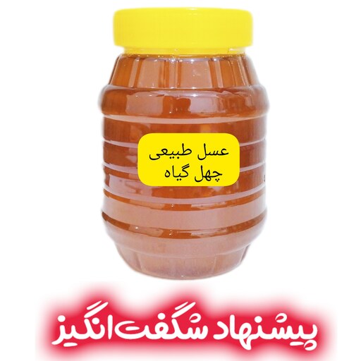 عسل طبیعی چهل گیاه 1 کیلویی سبلان(مستقیم از زنبوردار)ارسال رایگان فروش ویژه