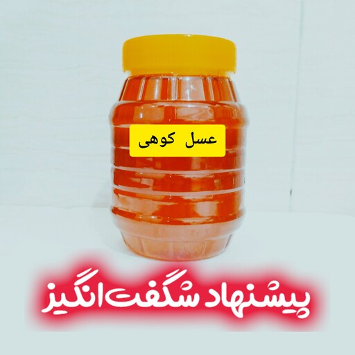 عسل طبیعی کوهی خام ساکارززیر3 1کیلویی سبلان(مستقیم از زنبور ار)فروش ویژه 