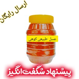 عسل طبیعی کوهی خام ساکارززیر3 1کیلویی سبلان(مستقیم از زنبور ار)فروش ویژه 
