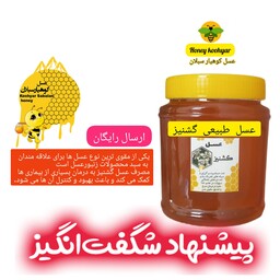عسل طبیعی گشنیز خام 1 کیلویی سبلان(مستقیم از زنبوردار)ارسال رایگان