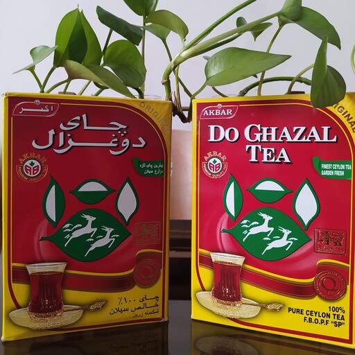 چای دوغزال شیرنشان با عطر و طعم طبیعی