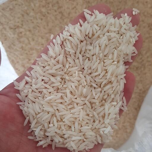 برنج شیرودی  کیفیت عالی .پخت عالی .در بسته های 50 .20.و 10 کیلویی .