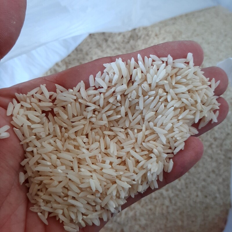 برنج هاشمی درجع یک الک شده از شالیزارهای گیلان .ب شرط .بدون یک دانه قاطی .برادران پولادی در بسته 10.20 .50 کیلویی 
