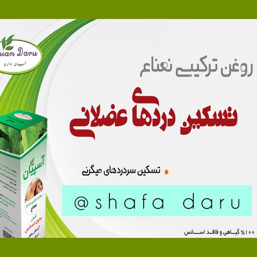 روغن نعنا ویژه ماساژ شرکت دانش بنیان  آسپیان تسکین درد های عضلانی 