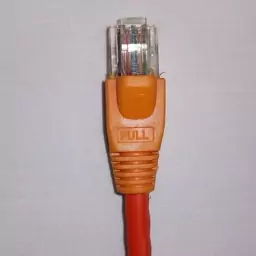 کابل شبکه cat6 UTP نگزنس سایز 7 متری