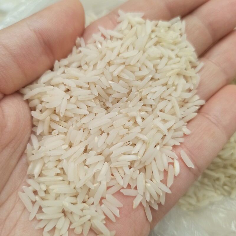 برنج هاشمی درجه یک و ارگانیک گونی 5 کیلویی کد 111