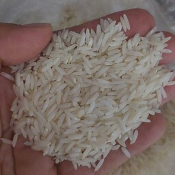 برنج طارم هاشمی  اعلا 