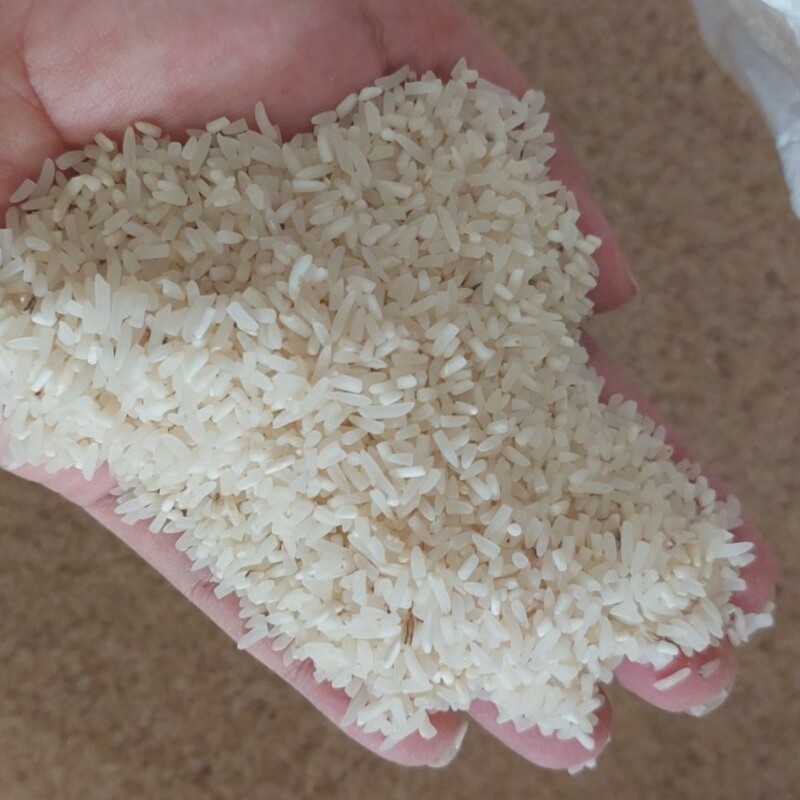 سرلاشه اعلا برنج فجر