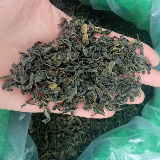 چای سبز درجه یک صد در صد بهاره سال 1402 بسته بندی 1 کیلوگرمی
