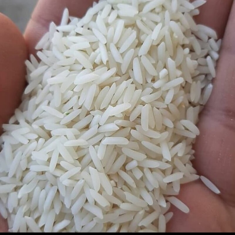 برنج هاشمی گیلان 20 کیلویی  1402     برنج هاشمی گیلان بیست کیلویی برنج گیلان برنج درجه یک هاشمی برنج عطری برنج درشت