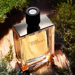 عطر اسانس گرمی تق هرمس لوزی سوییس گرید تاپTerre Dhermes