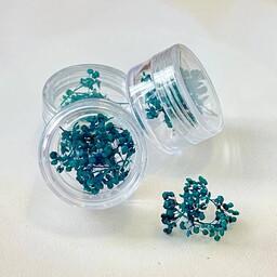 دیزاین گل خشک سبز آبی