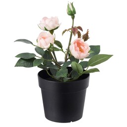 گل و گلدان آیکیا مدل رز صورتی فجکا. مناسب داخل و خارج خانه. کدمحصول 003.953.13