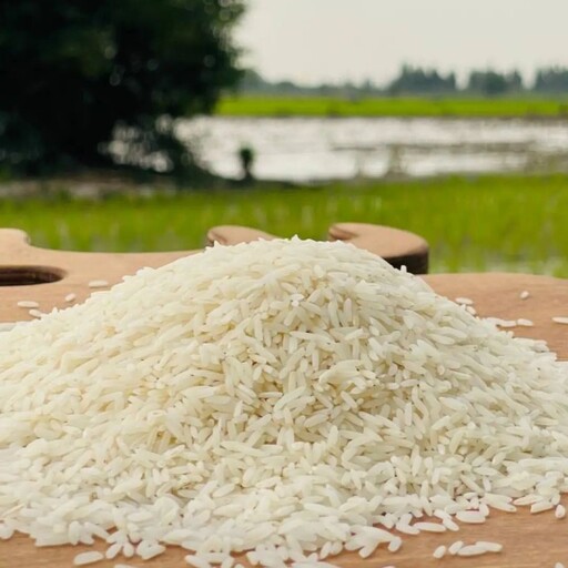 برنج. هاشمی طارم.کشت اول مازندران  درجه 1 به شرط پخت 10 کیلو 850000 هزارتومان ارسال رایگان( باضمانت کیفیت )