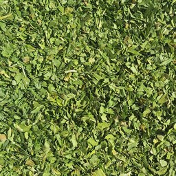 سبزی خشک اسفناج - (فله 2 کیلویی) - محصولی از برند صادراتی فردوس ناب