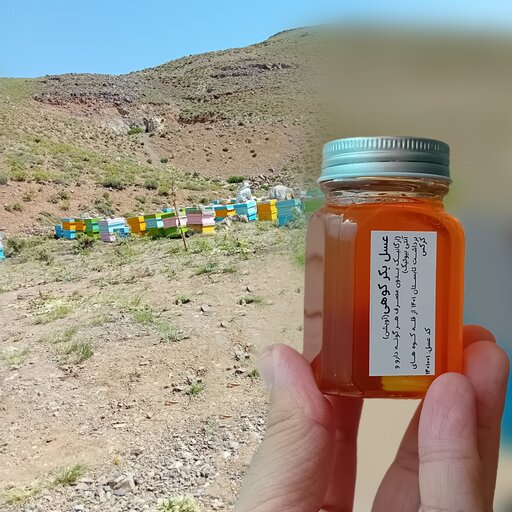 عسل درمانی‌گریدA++‌کوهستان‌های‌کرکس(شهد‌غالب‌آویشن،زنجیرخوار...وحدود20گل دارویی‌دیگر)