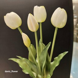 یک دسته گل لاله ( سفید ) زیبا و ظریف