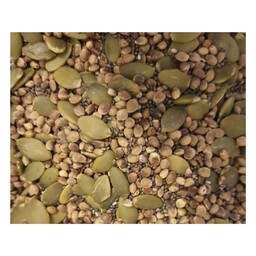 آجیل دانه های گیاهی   نات لاین (300 گرمی)