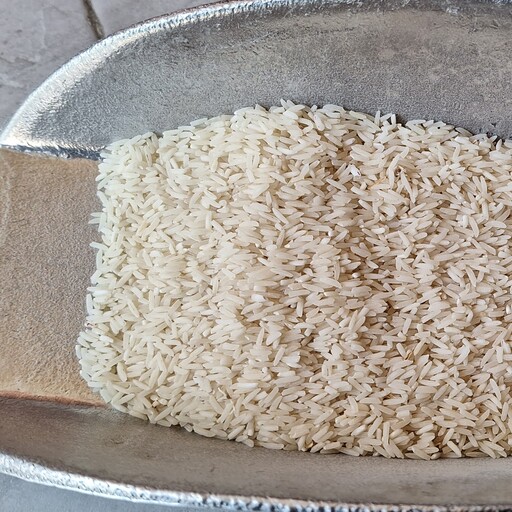 برنج فجر مشکات دو الکه پارساله 10 کیلویی و 5 کیلویی